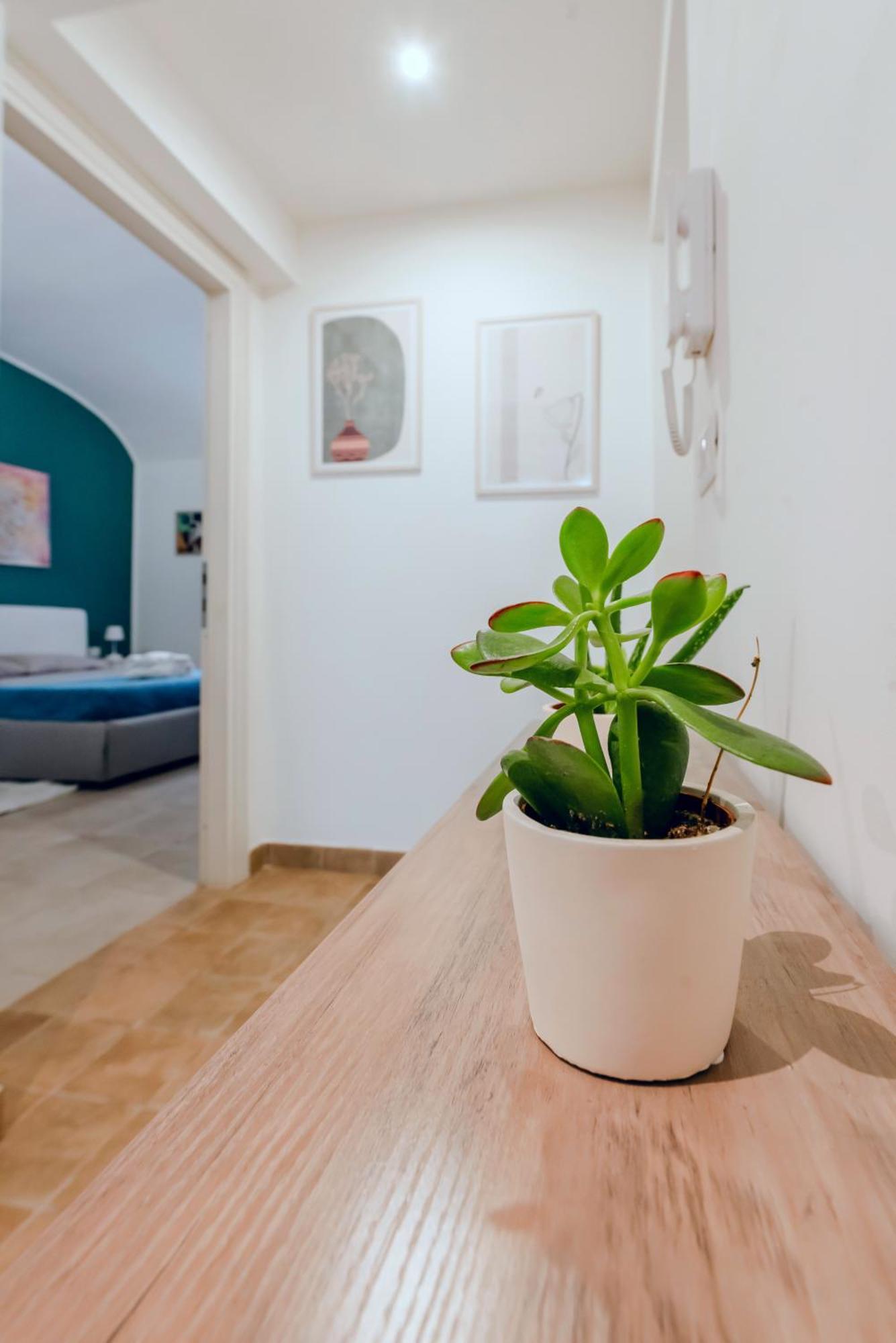 Helios Suites Testaccio - Center Of רומא מראה חיצוני תמונה
